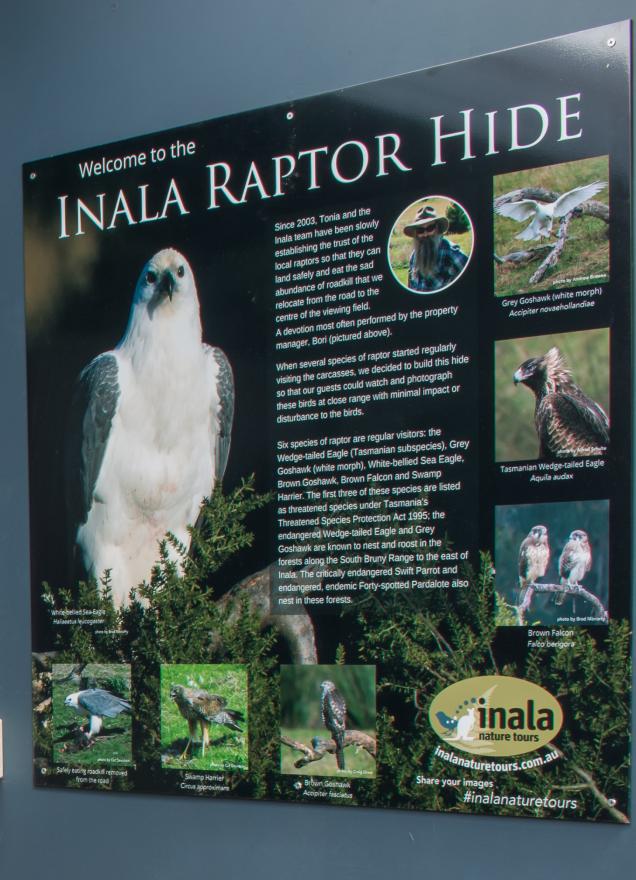 Raptor Photography Hide sign - Brad Moriarty